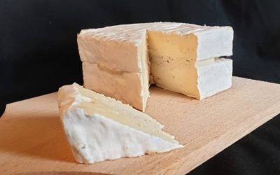 LE FÉLAIT à la truffe noire aromatisé 2%